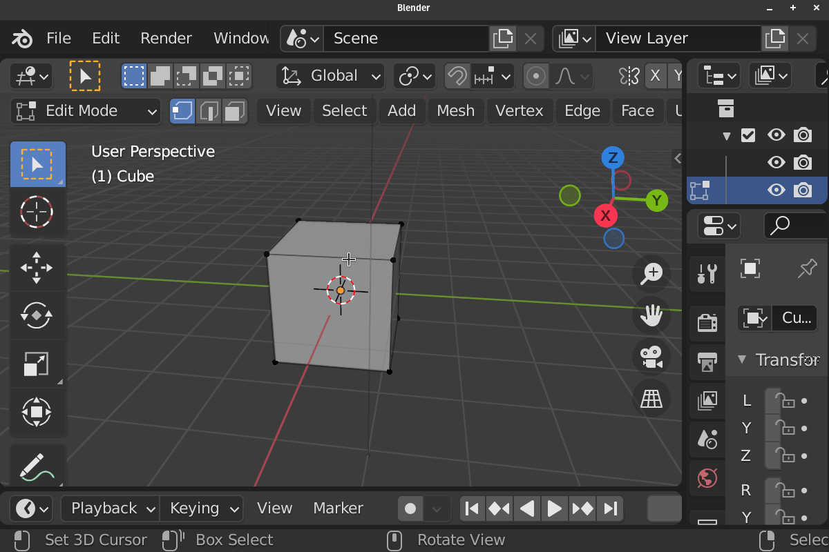 _images/Create_Bone_Edit_Mesh_Mode_Individual.gif